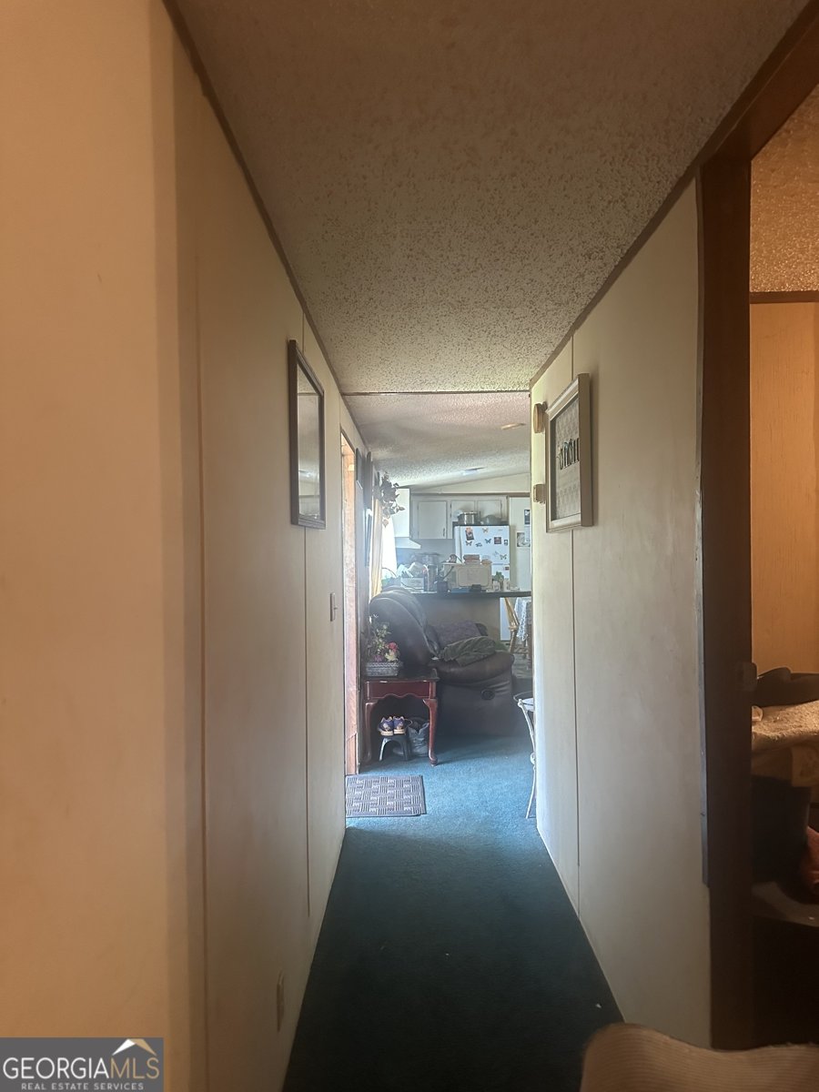 94 Payne Lane Carnesville - 10
