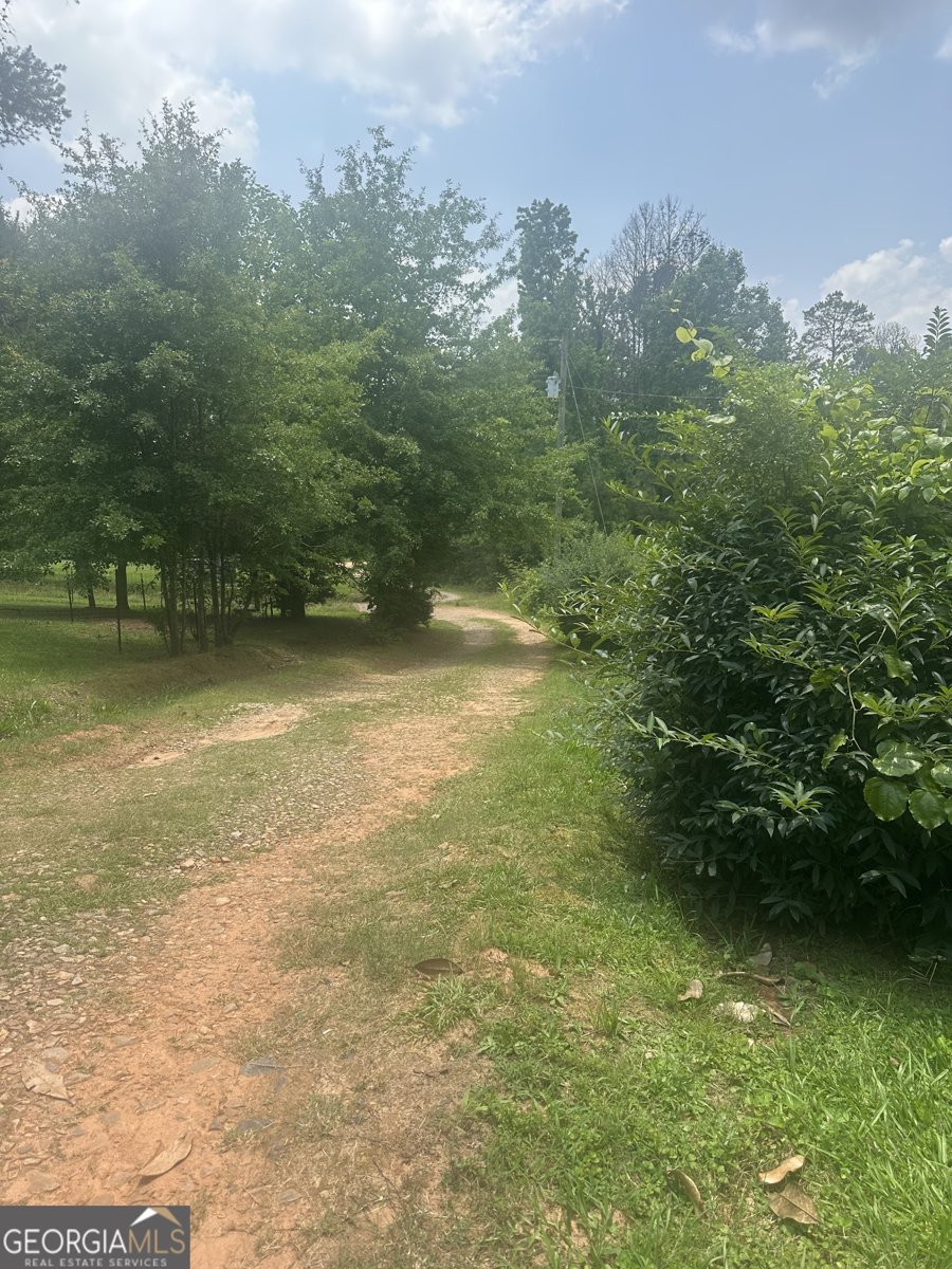 94 Payne Lane Carnesville - 18