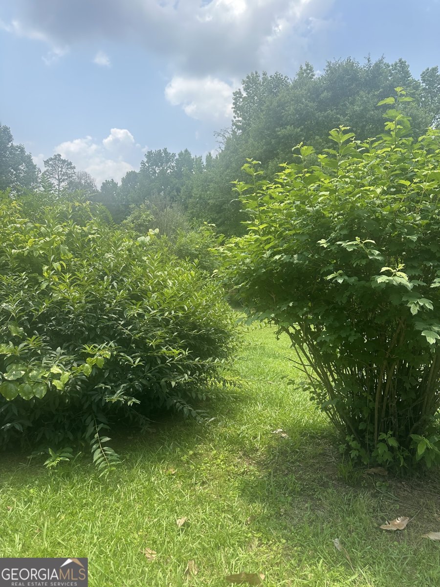 94 Payne Lane Carnesville - 19