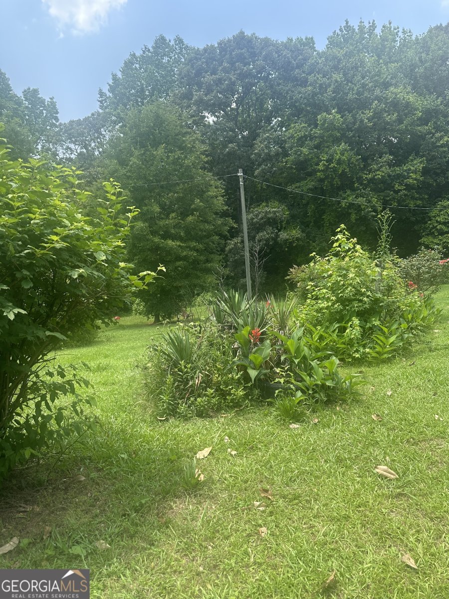 94 Payne Lane Carnesville - 20