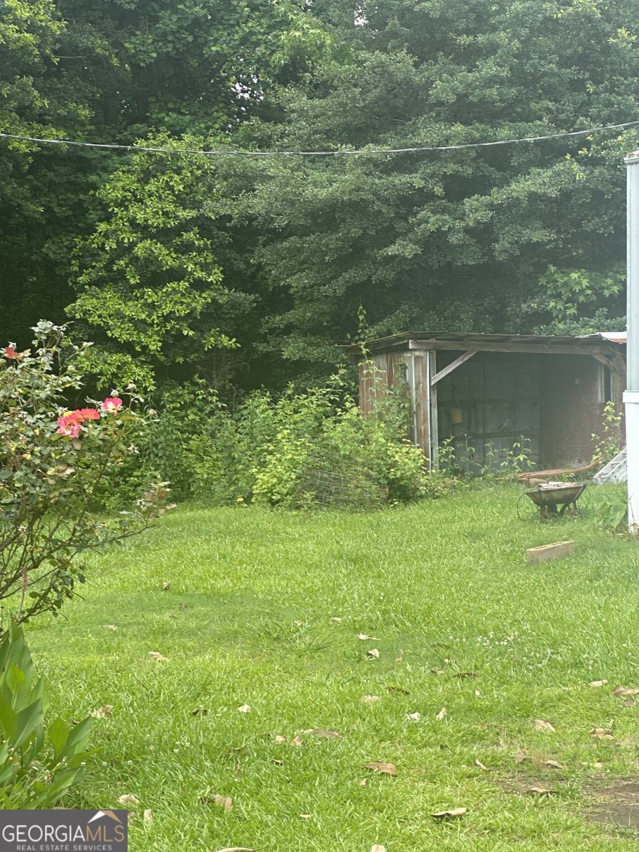 94 Payne Lane Carnesville - 3