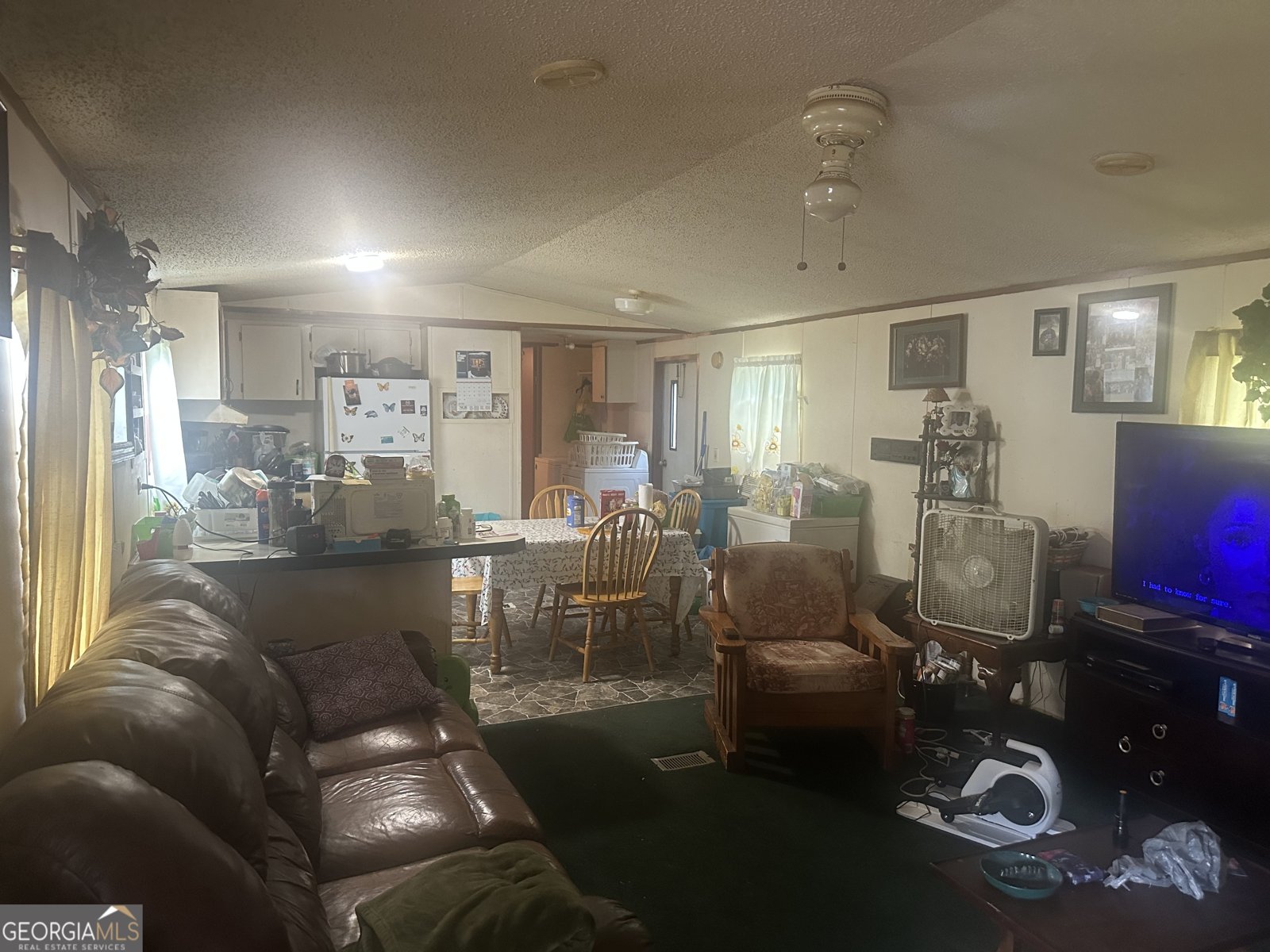 94 Payne Lane Carnesville - 4