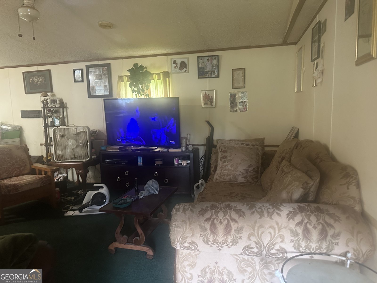 94 Payne Lane Carnesville - 5