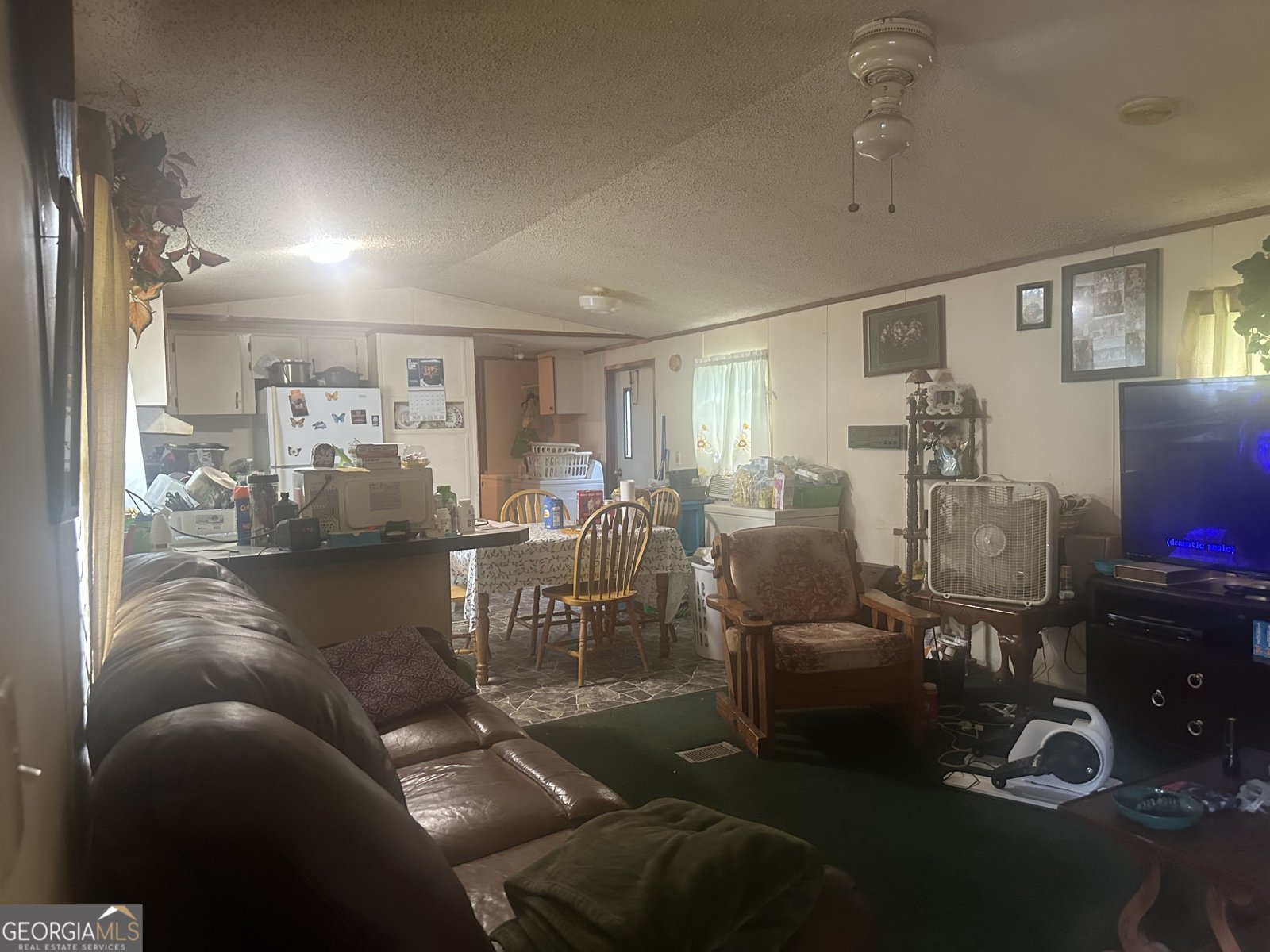 94 Payne Lane Carnesville - 6