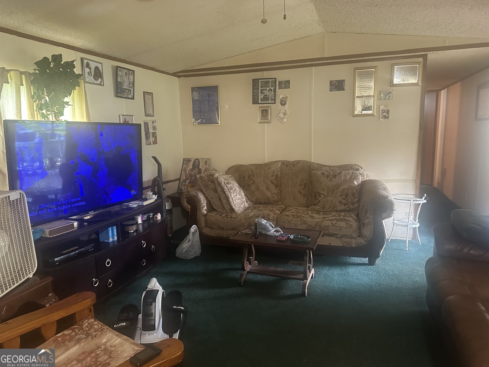 94 Payne Lane Carnesville - 8