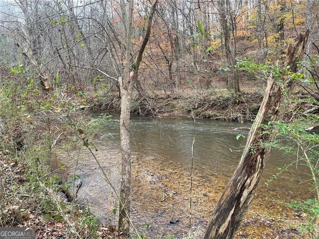 33 T J Mote Road Dahlonega - 85