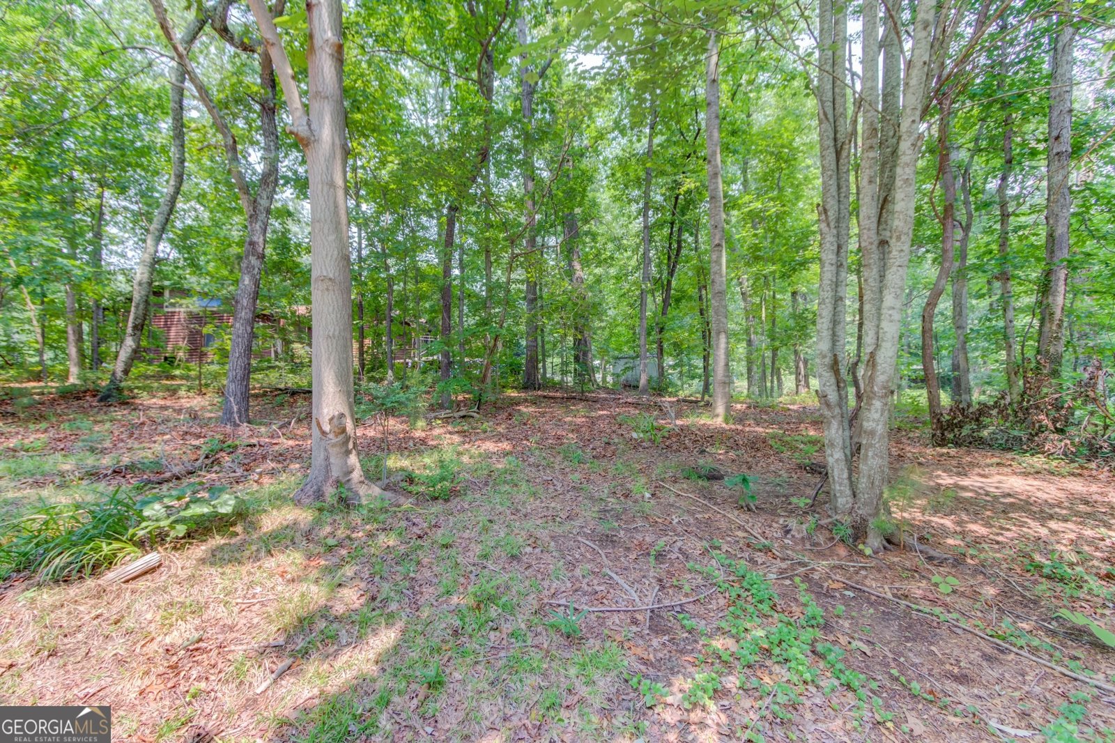2526 Bald Eagle Trail Gainesville - 16