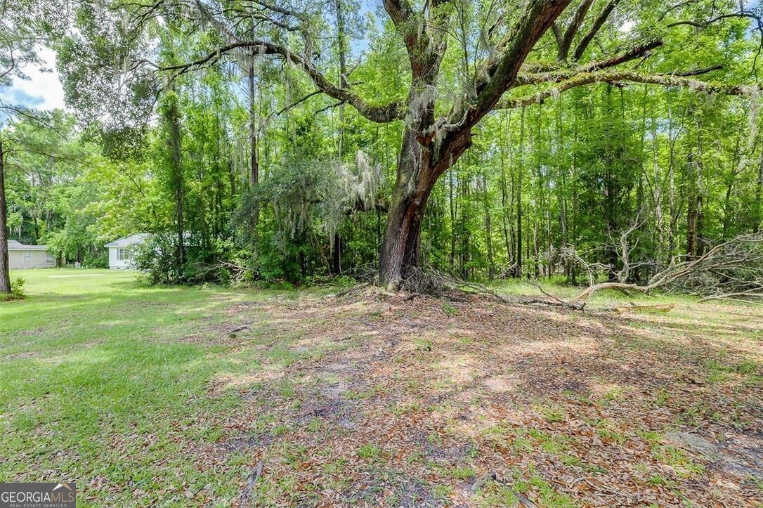 907 Magnolia Extension Guyton - 22