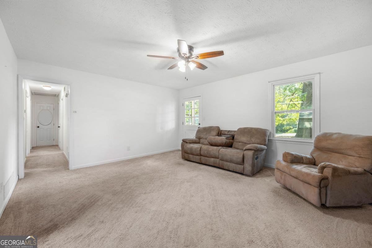 245 Amanda Court Stockbridge - 11