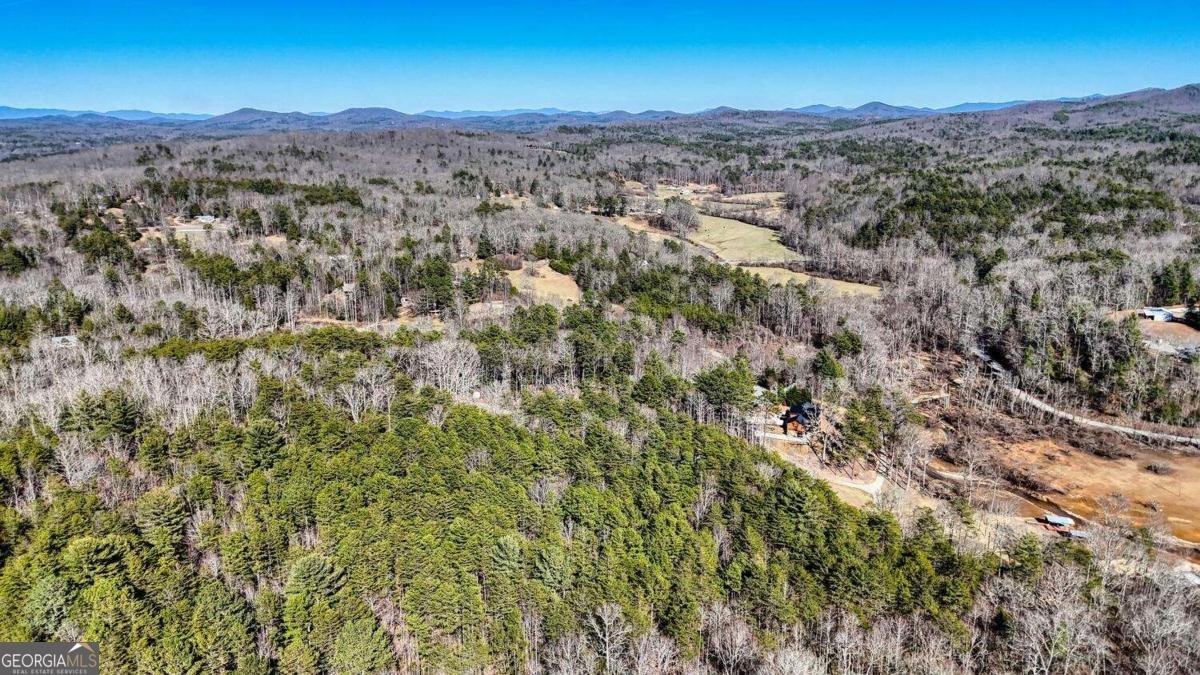 11 Collins Hollow Cove Morganton - 48