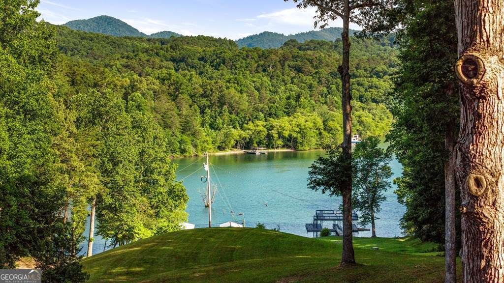 11 Collins Hollow Cove Morganton - 49