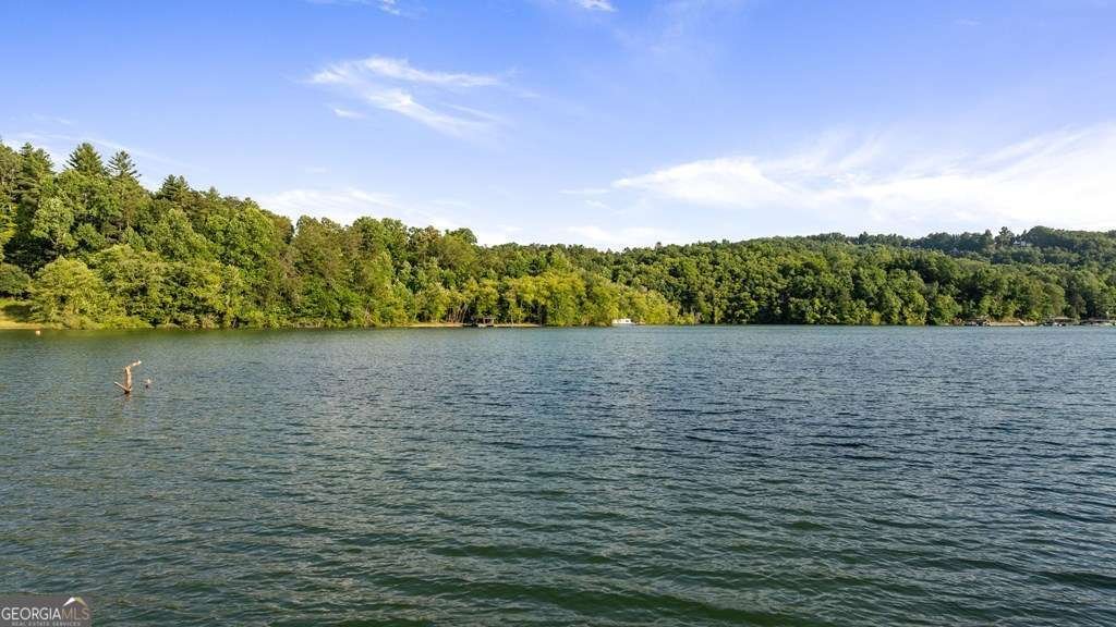 11 Collins Hollow Cove Morganton - 51