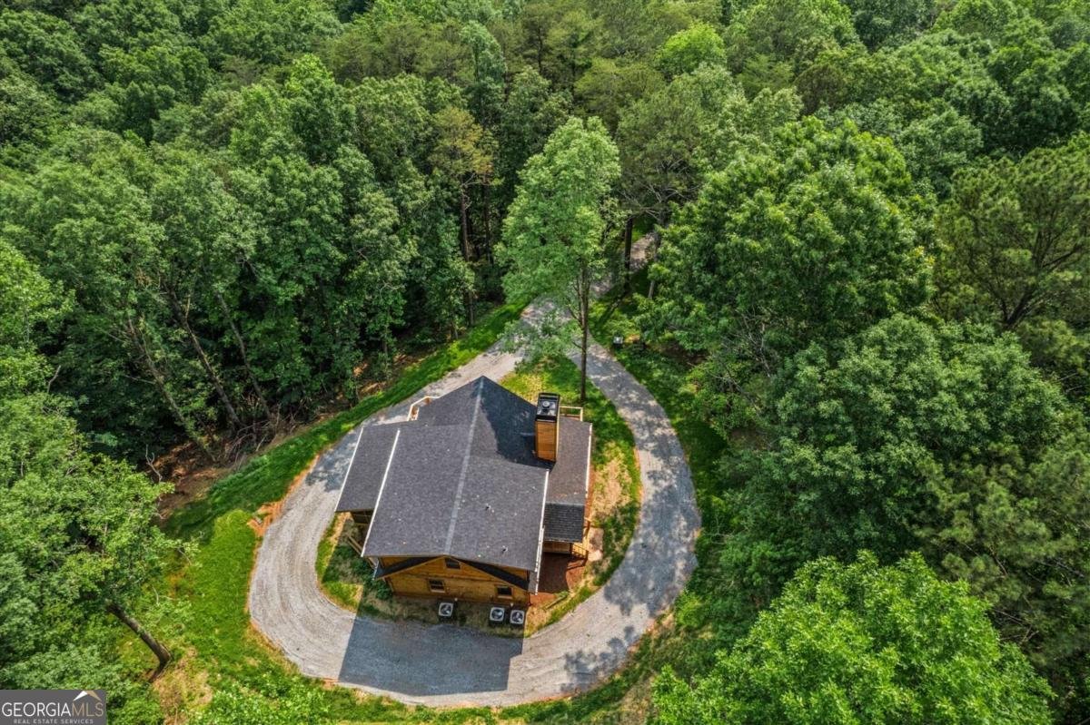 1725 Cherokee Gold Trail Ball Ground - 68