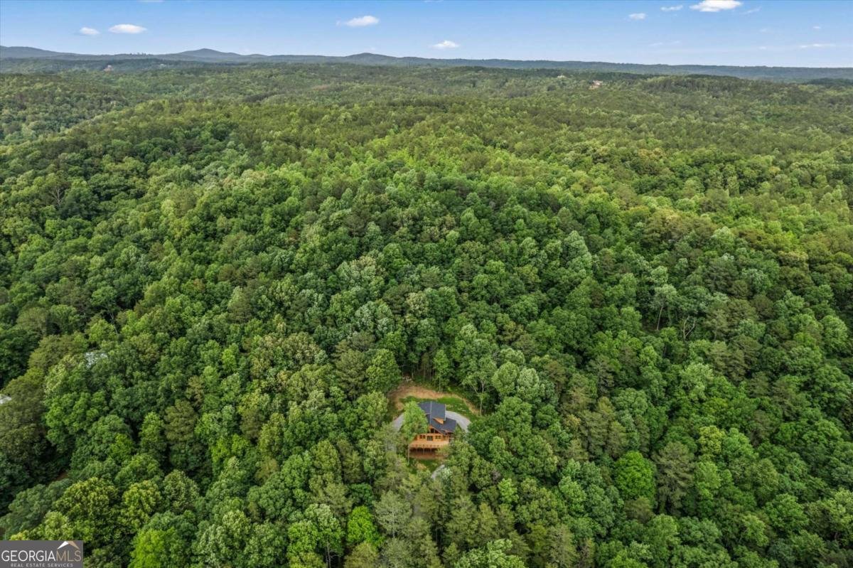 1725 Cherokee Gold Trail Ball Ground - 69