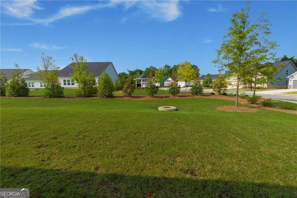 740 Pineberry Court Grayson - 30