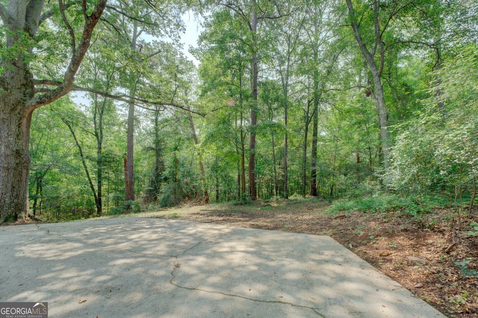 13935 Brown Bridge Road Covington - 16