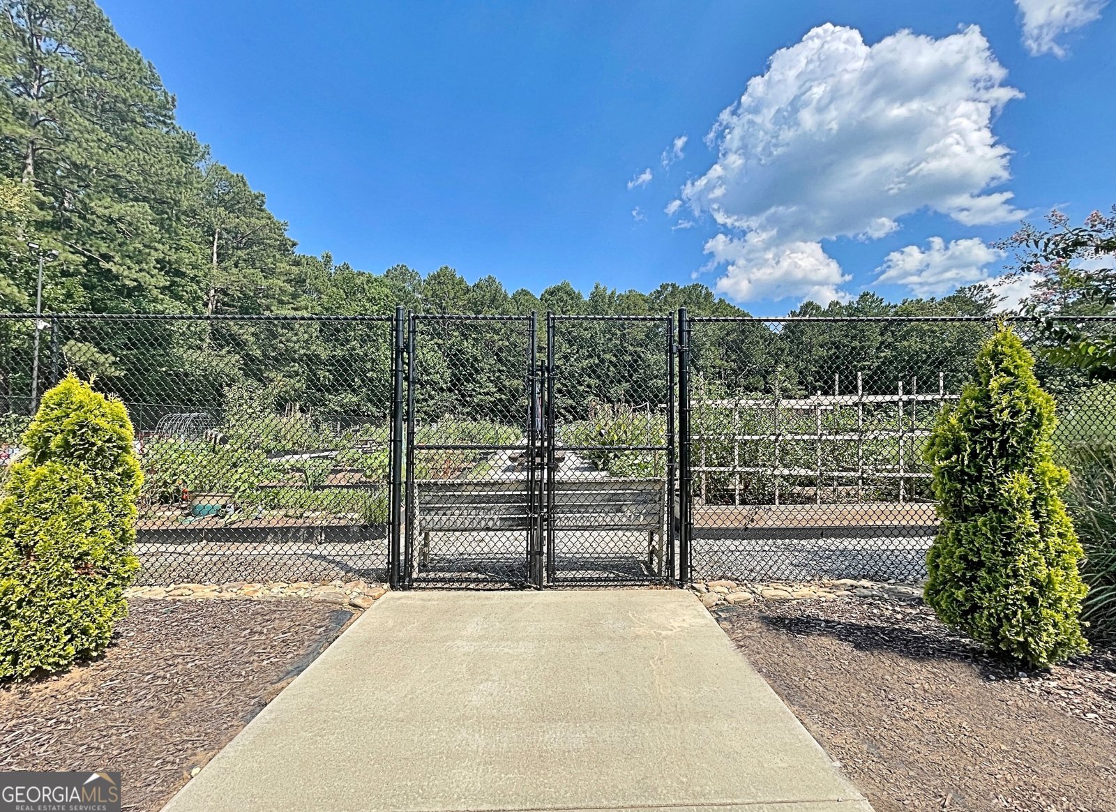 501 Bridlepath Lane Peachtree City - 4