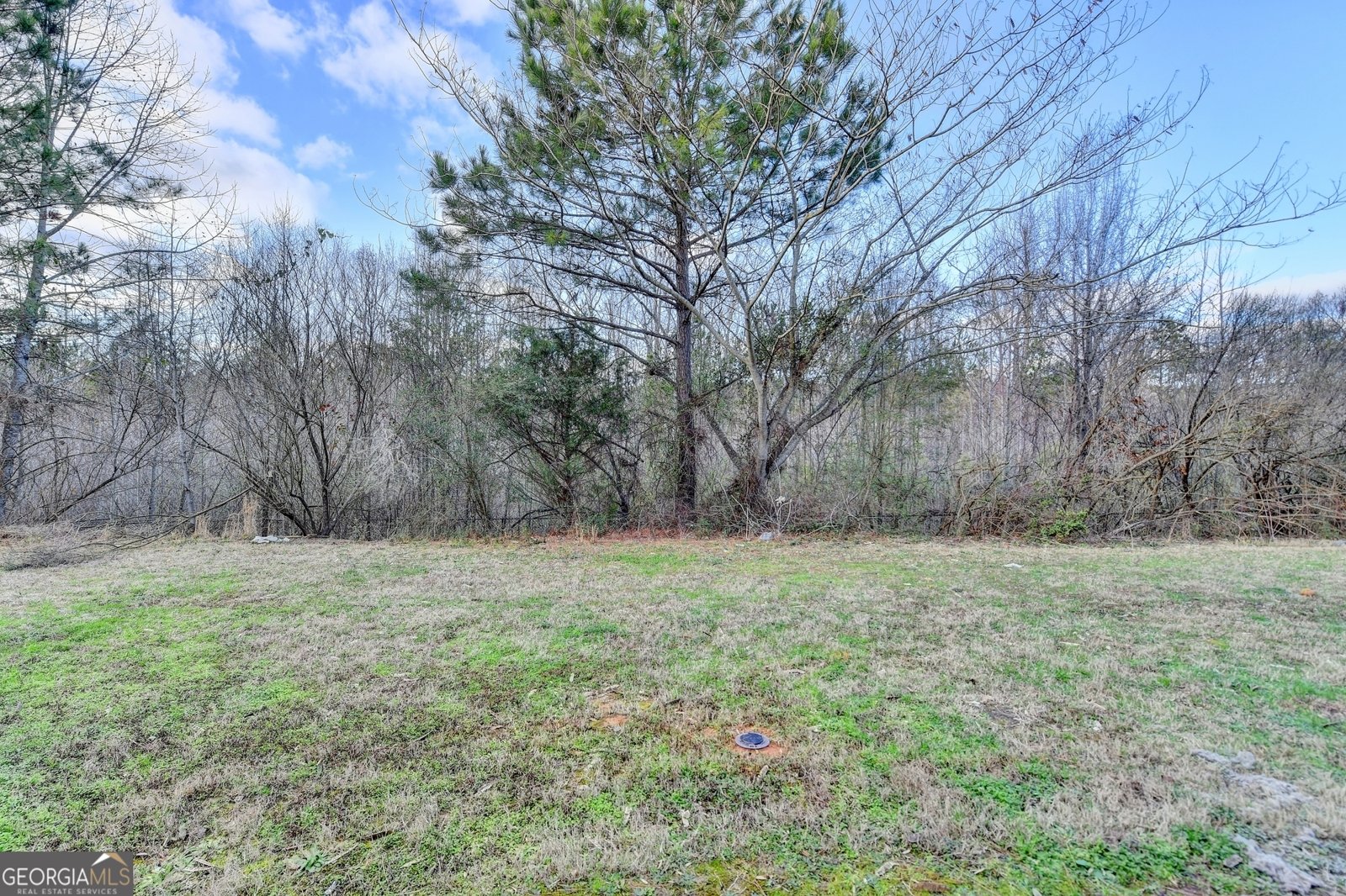 1797 old dogwood Jonesboro - 2