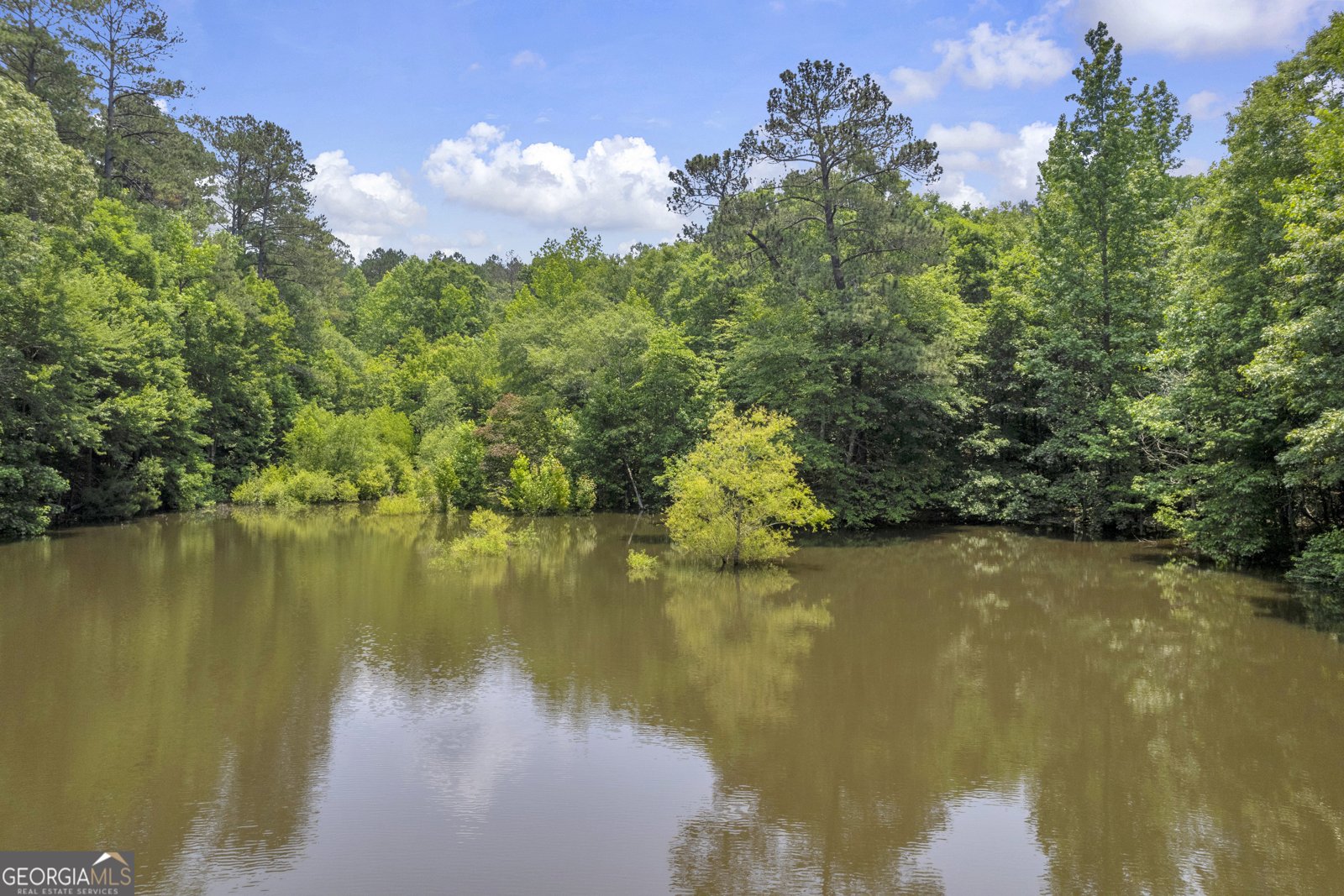 6160 Campbellton Redwine Road Chattahoochee Hills - 31