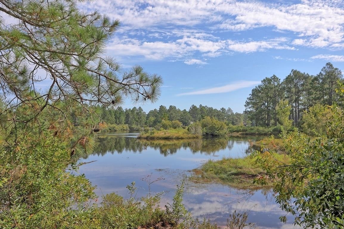 200 Deer Court Vidalia - 36