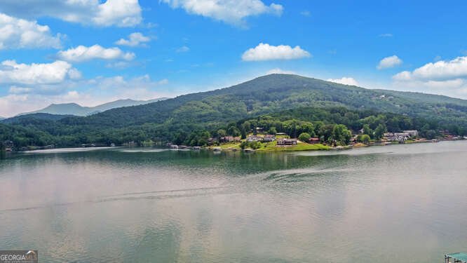 2156 Mockingbird Lane Hiawassee - 77