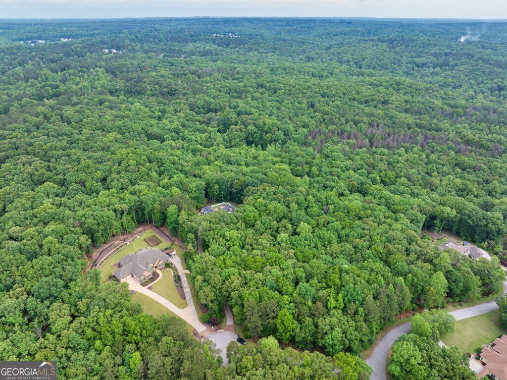5588 Rhododendron Trail Douglasville - 88