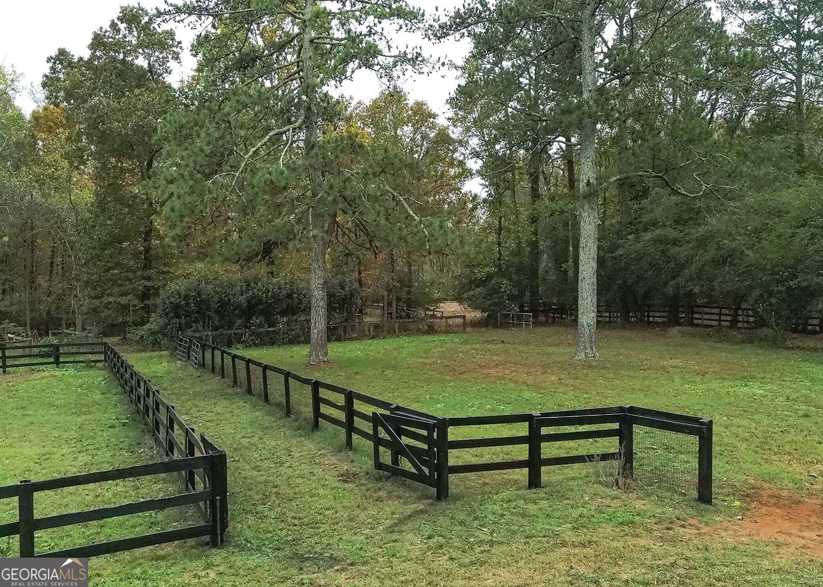 15585 Thompson Road Alpharetta - 43