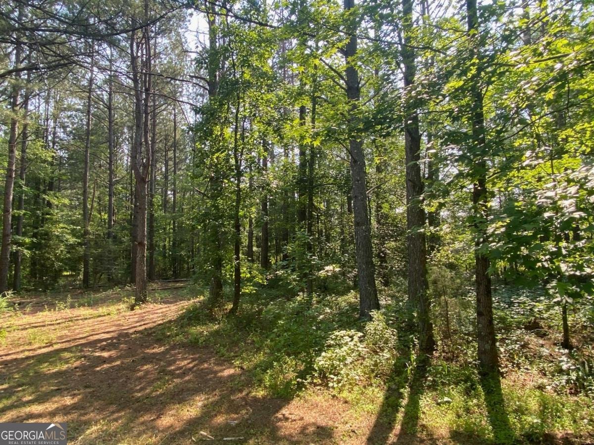 192 Tallapoosa Highway Cedartown - 36