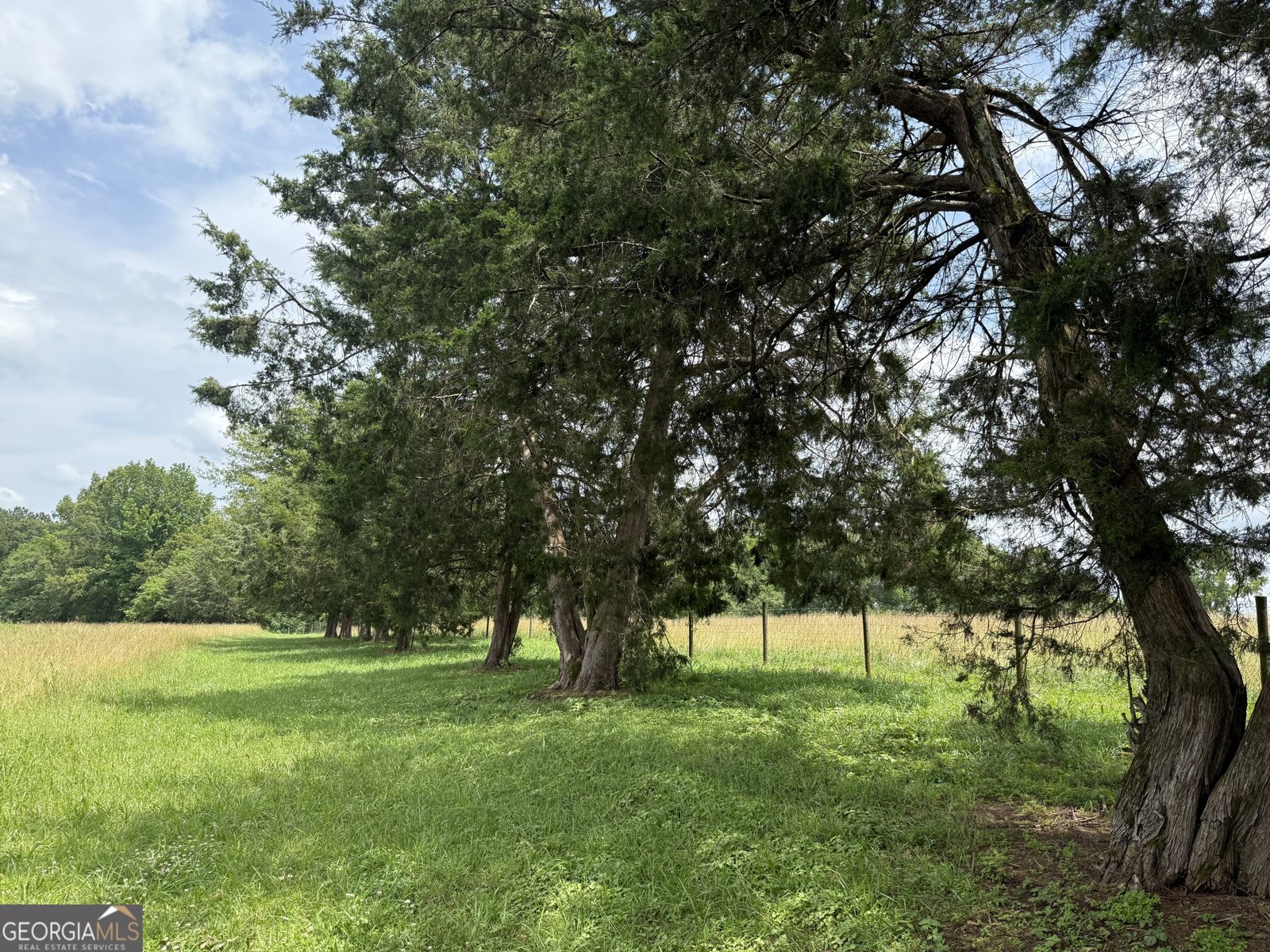 3881 Sims Bridge Road Monroe - 29