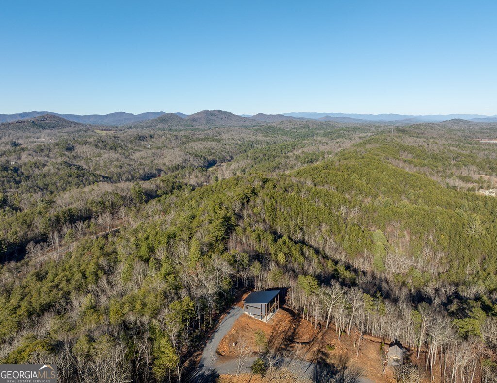 538 Mountain Laurel Ridge Mineral Bluff - 10