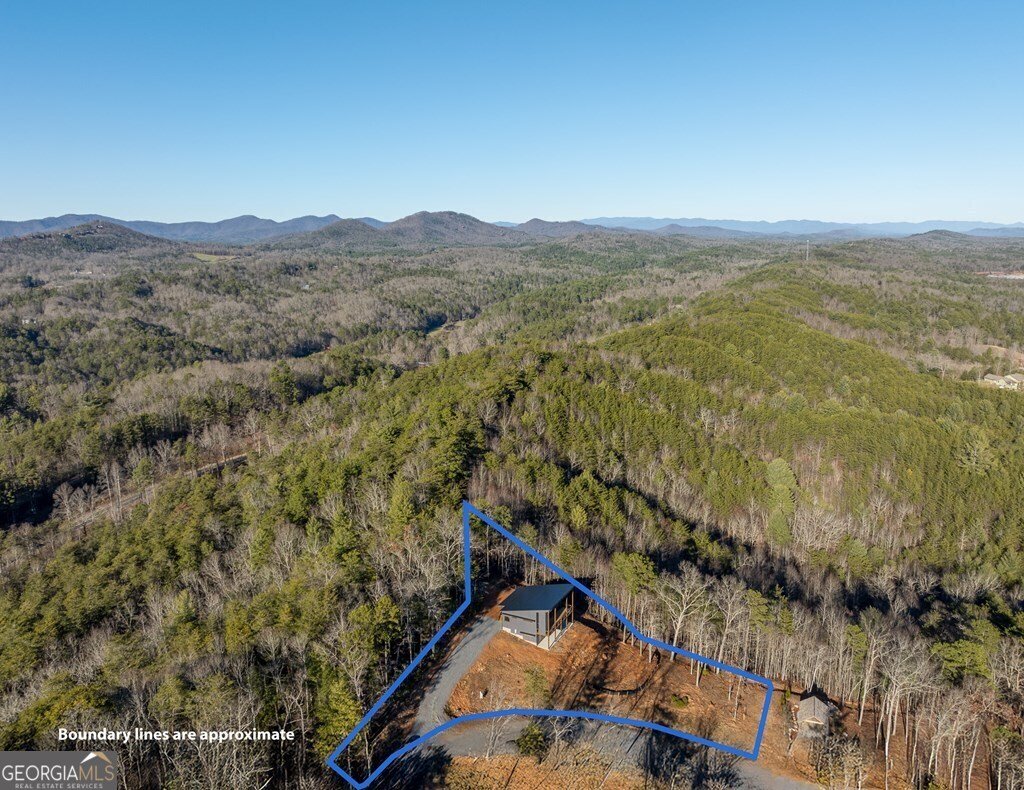 538 Mountain Laurel Ridge Mineral Bluff - 21