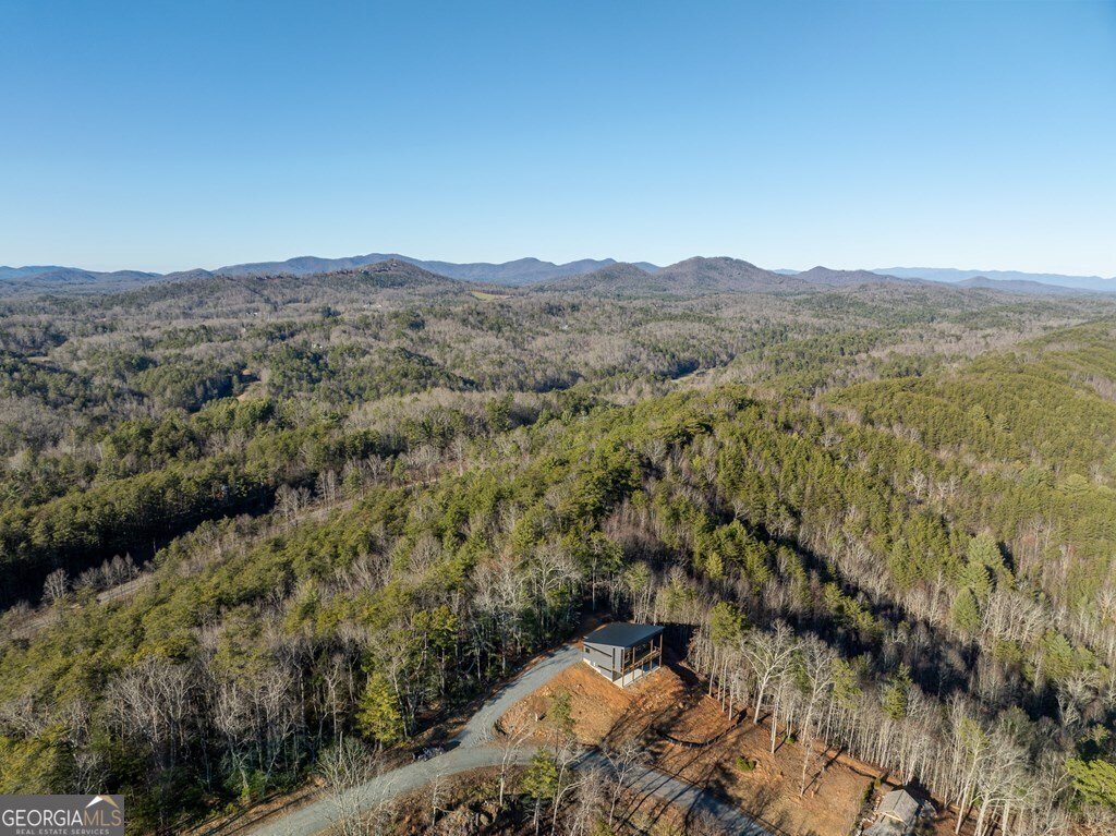 538 Mountain Laurel Ridge Mineral Bluff - 22