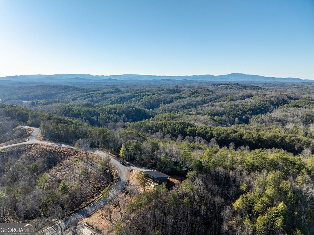 538 Mountain Laurel Ridge Mineral Bluff - 26