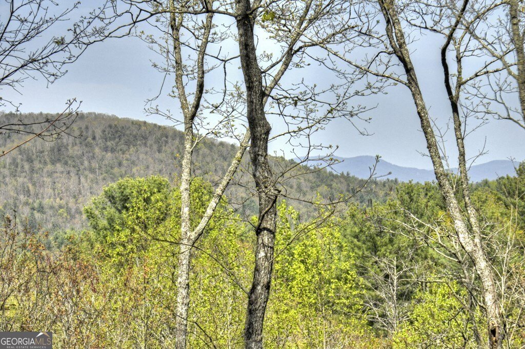 302 Indian Ridge Road Epworth - 13