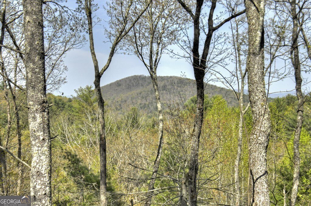 302 Indian Ridge Road Epworth - 42