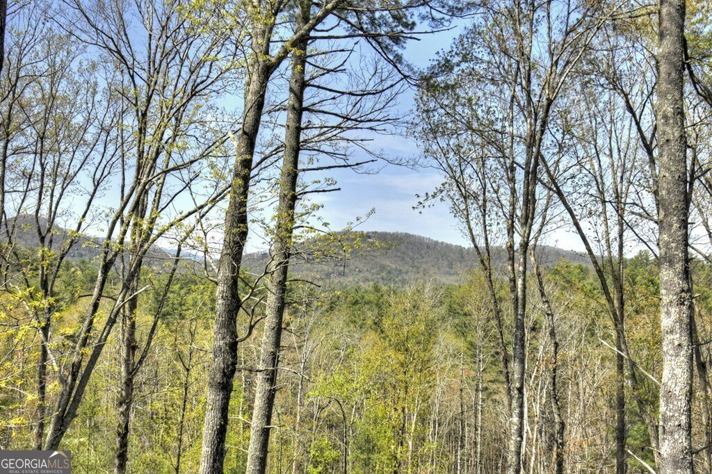 302 Indian Ridge Road Epworth - 46