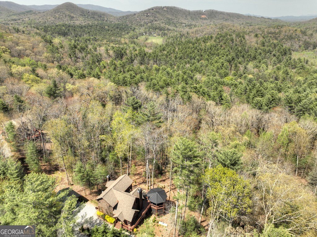 302 Indian Ridge Road Epworth - 55