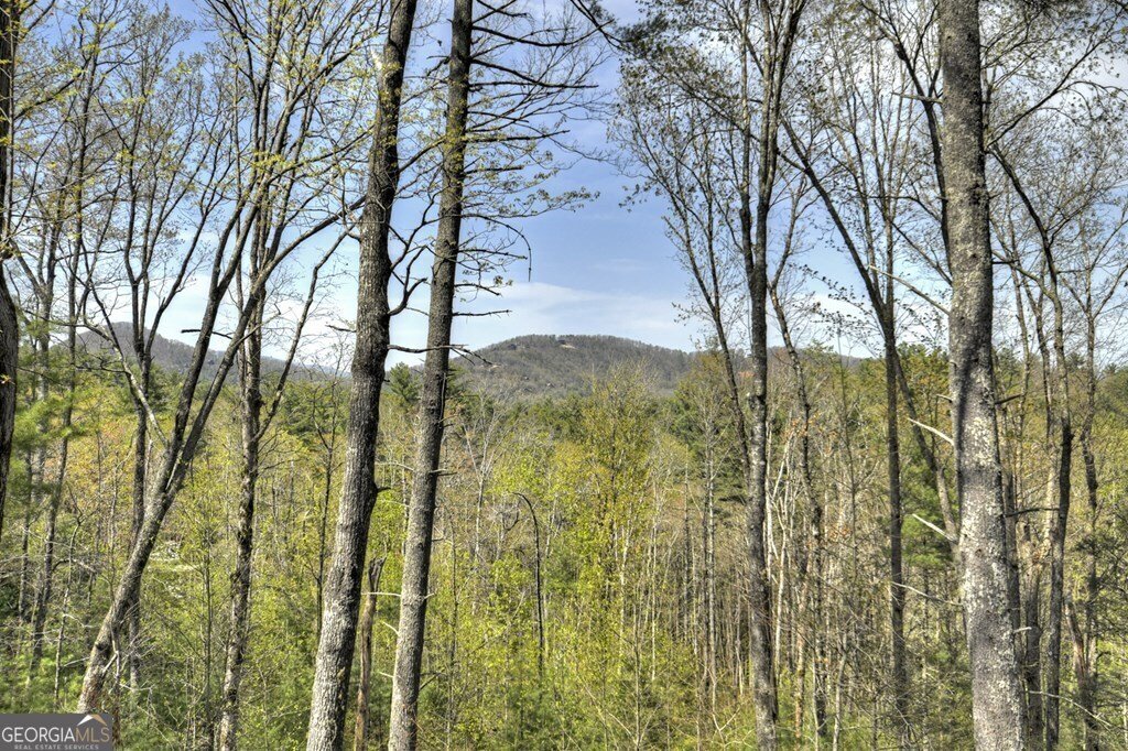 302 Indian Ridge Road Epworth - 6