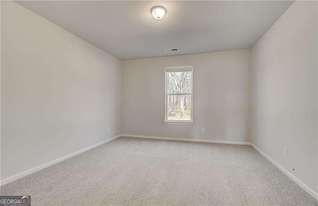120 Felicity Pike Locust Grove - 11