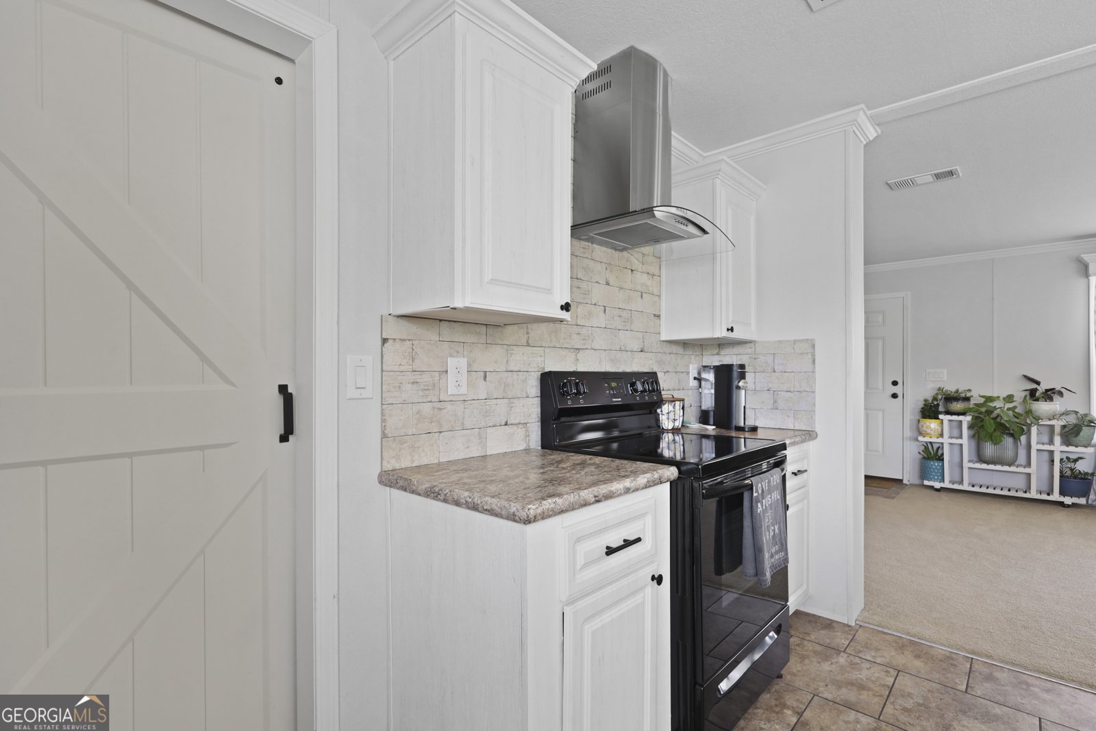 591 Simmons Place Drive Ludowici - 10