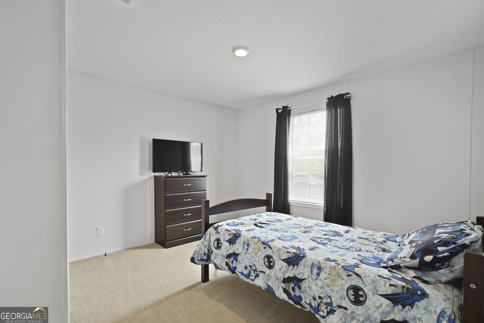 591 Simmons Place Drive Ludowici - 19