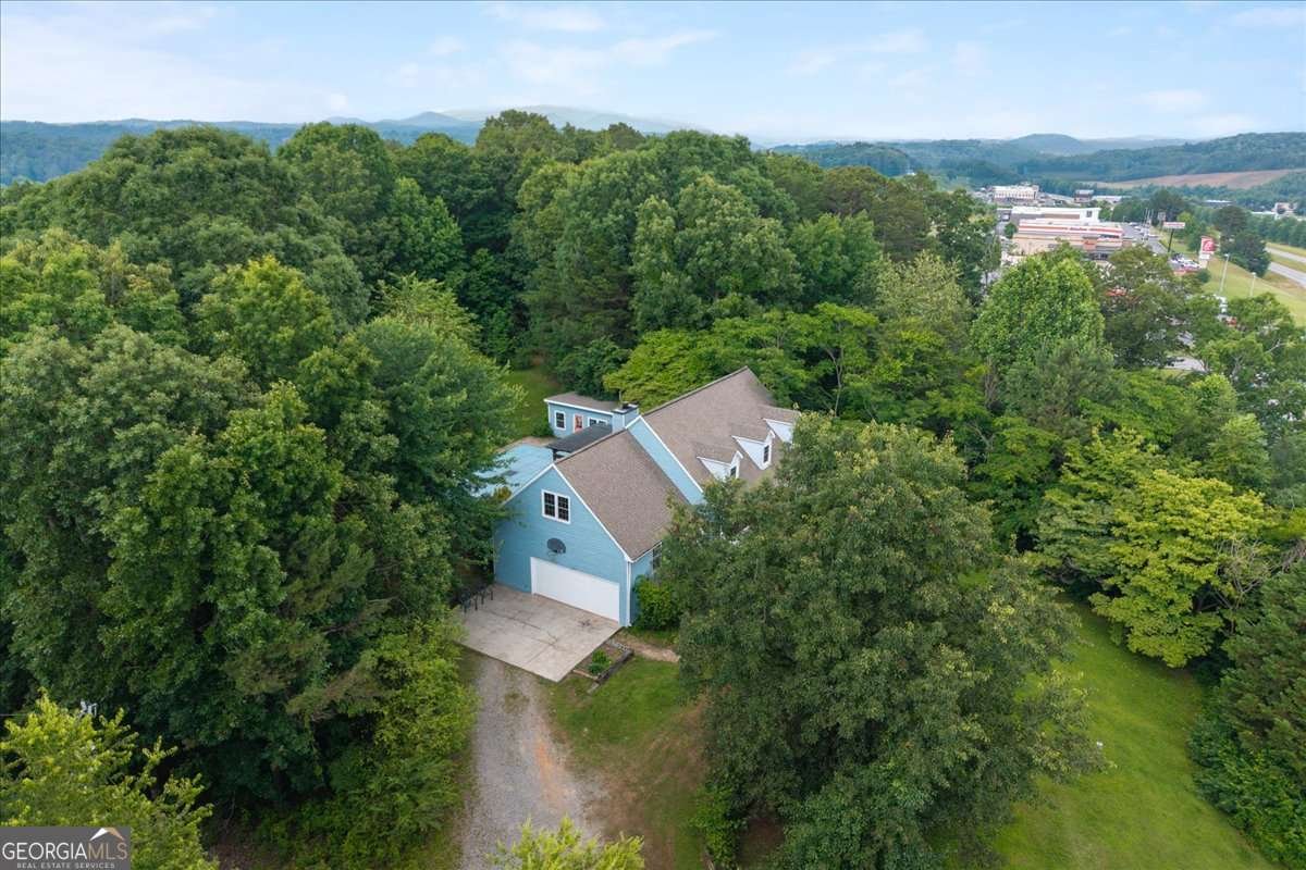234 Water Wheel Way Ellijay - 47