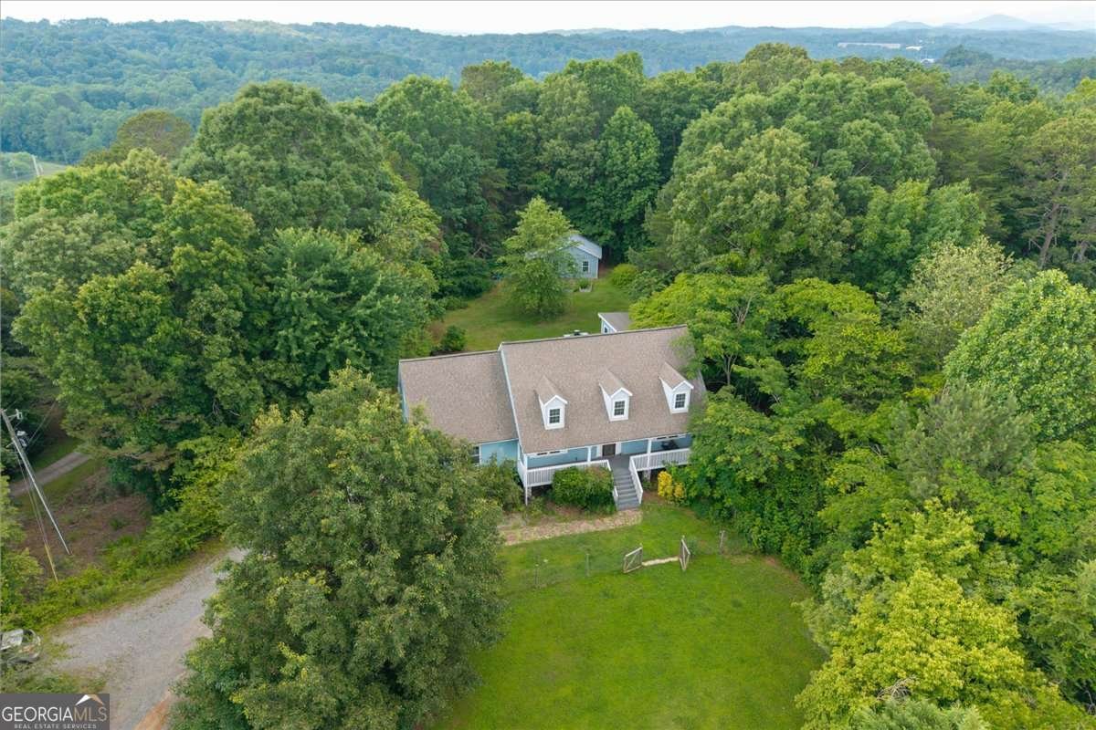 234 Water Wheel Way Ellijay - 48