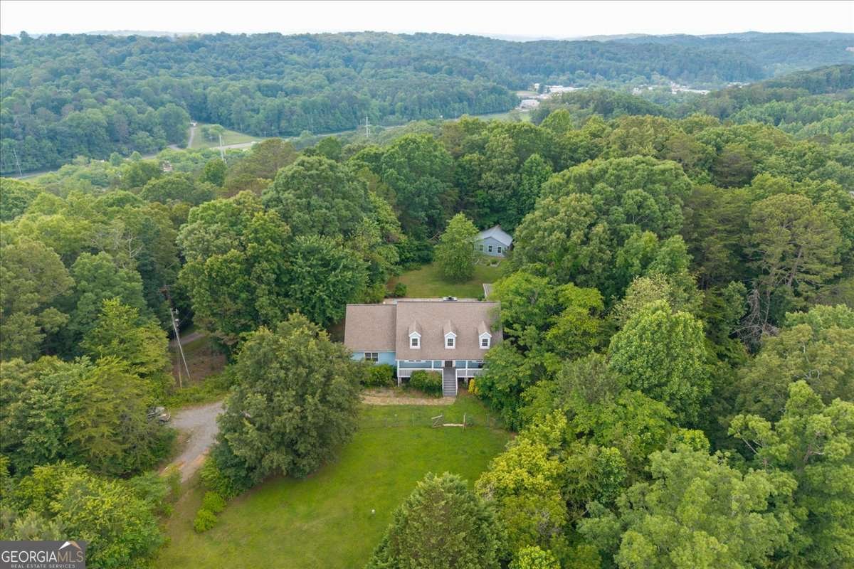 234 Water Wheel Way Ellijay - 50