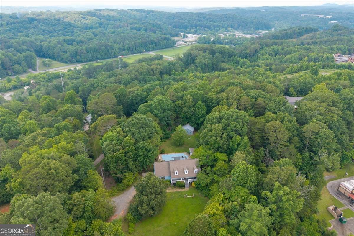 234 Water Wheel Way Ellijay - 51