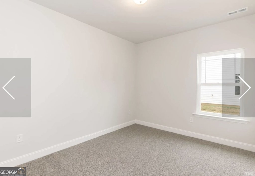 584 Walnut Creek Parkway Pendergrass - 18