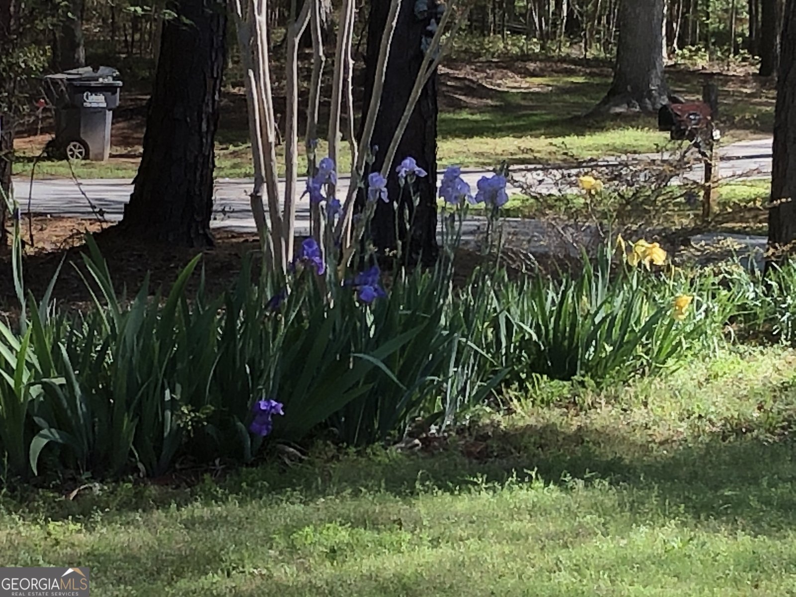1744 Campbell Road Covington - 27