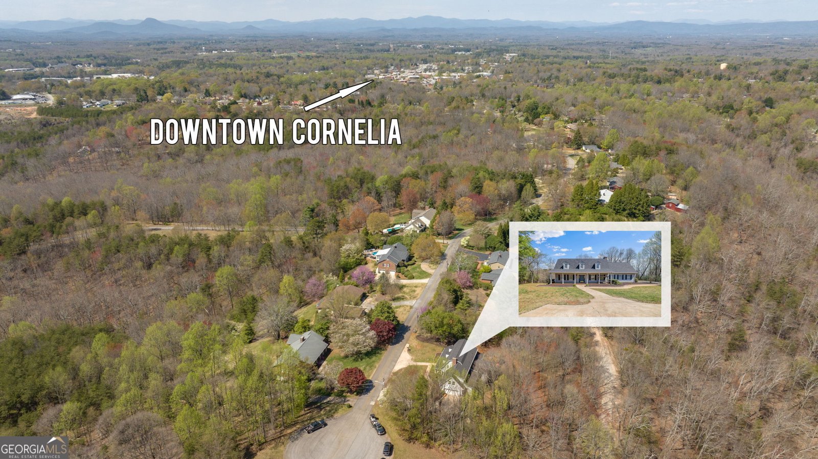 294 Hillcrest Heights Cornelia - 46