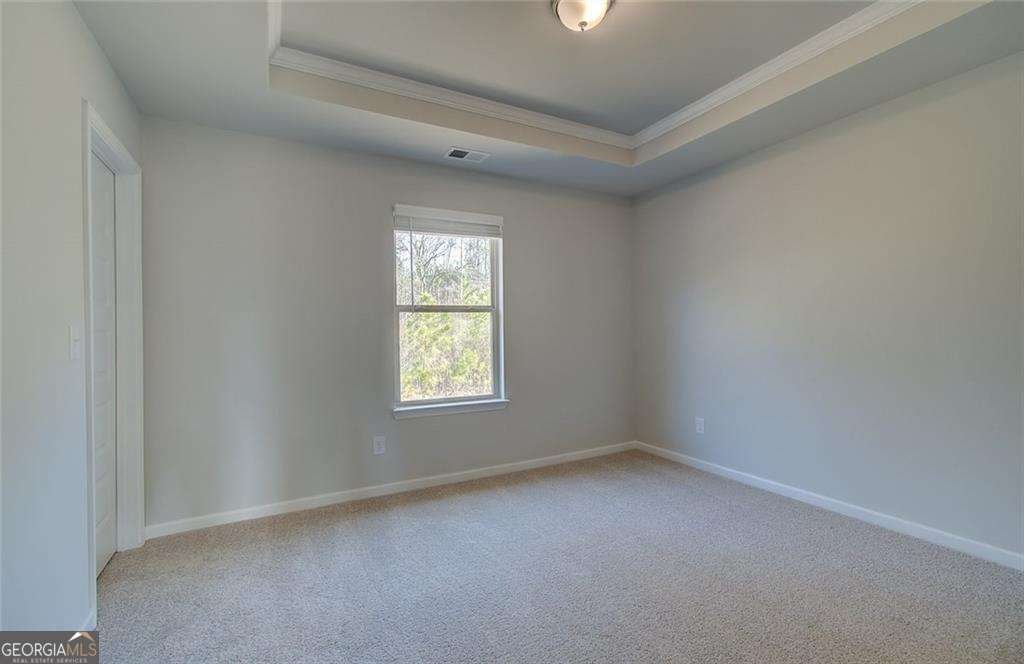 112 Felicity Pike Locust Grove - 21
