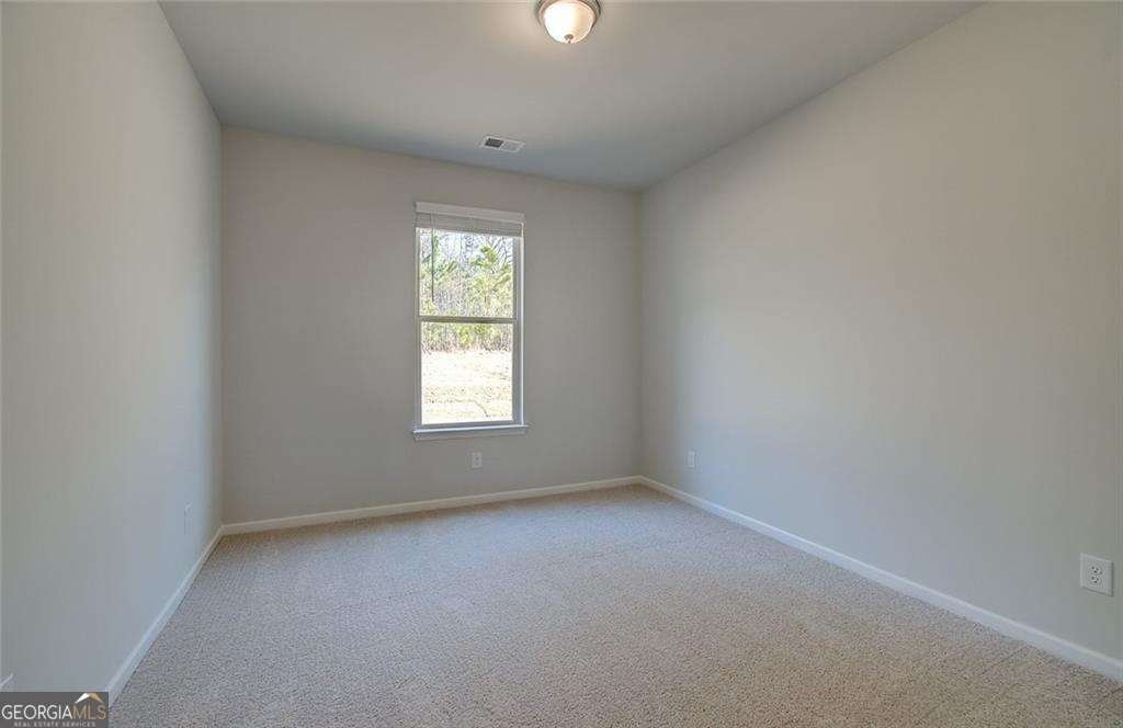 112 Felicity Pike Locust Grove - 7